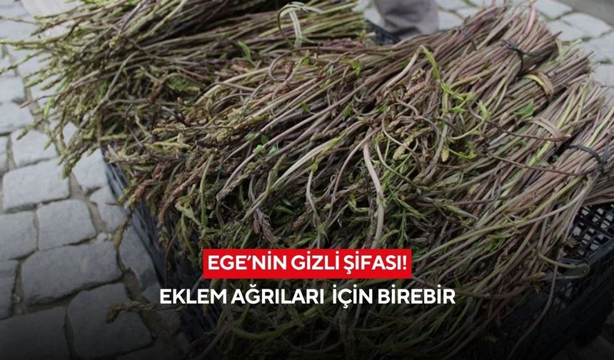 Toprakta kendiliğinden çıkıyor! Eklem ağrıları için birebir