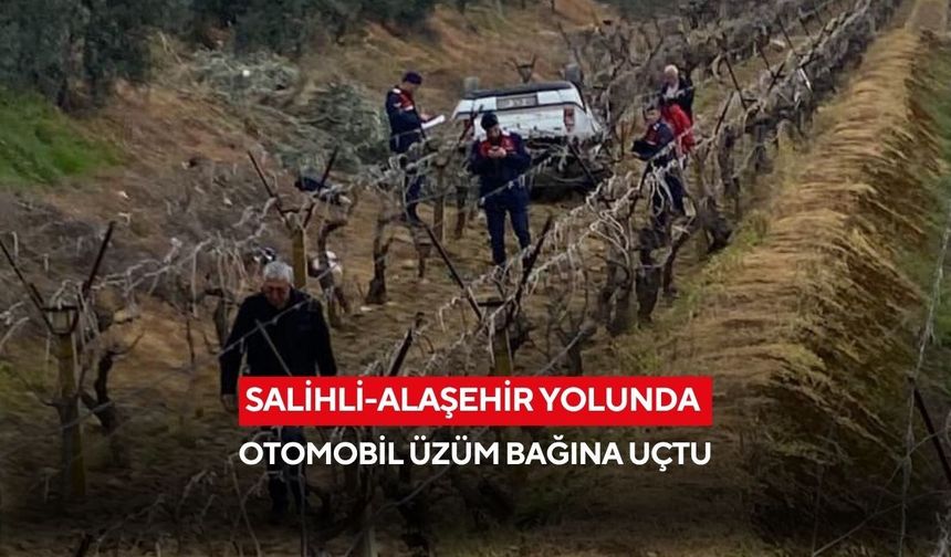 Salihli-Alaşehir yolunda otomobil üzüm bağına uçtu