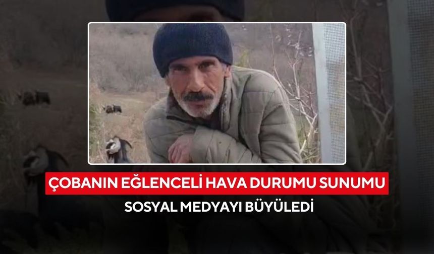 Dağ başında keçilerle hava durumu sunumu! Çobanın kırık televizyonla yaptığı bülten sosyal medyayı salladı...
