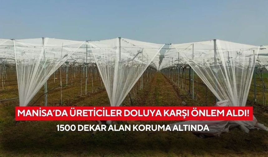 Manisa’da üreticiler doluya karşı önlem aldı! 1500 dekar alan koruma altında