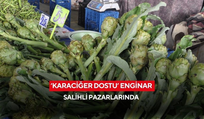 ‘Karaciğer dostu’ enginar Salihli pazarlarında