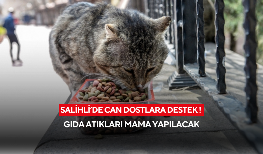 Salihli’de can dostlara destek ! Gıda atıkları mama yapılacak