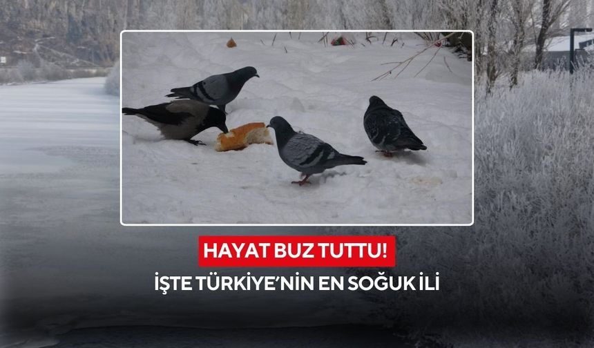 Hayat buz tuttu! İşte Türkiye’nin en soğuk ili