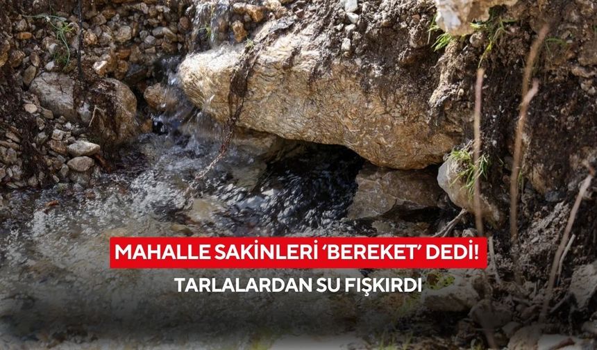 Mahalle sakinleri ‘bereket’ dedi! Tarlalardan su fışkırdı