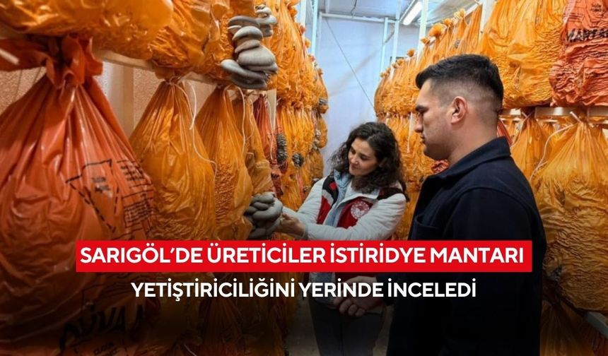 Sarıgöl’de üreticiler istiridye mantarı yetiştiriciliğini yerinde inceledi