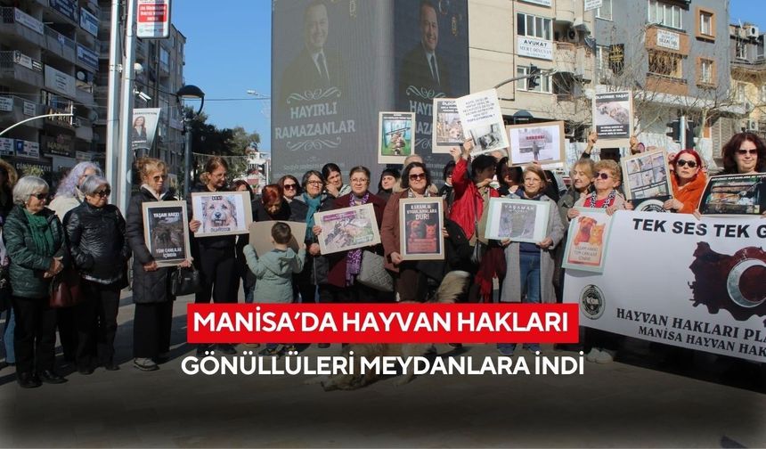 Manisa’da hayvan hakları gönüllüleri meydanlara indi