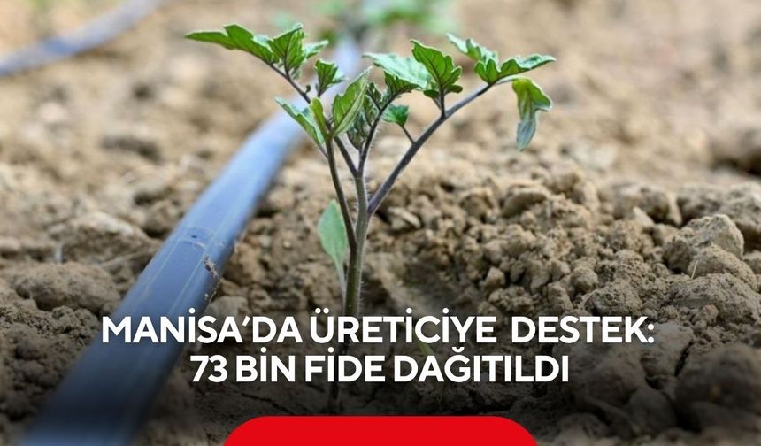 Manisa’da üreticiye büyük destek: 73 bin fide dağıtıldı