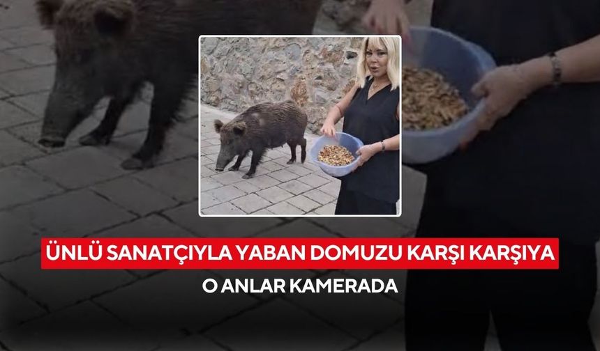 Safiye Soyman’ın kapısına bayram ziyareti! Yaban domuzuyla ilginç anlar...