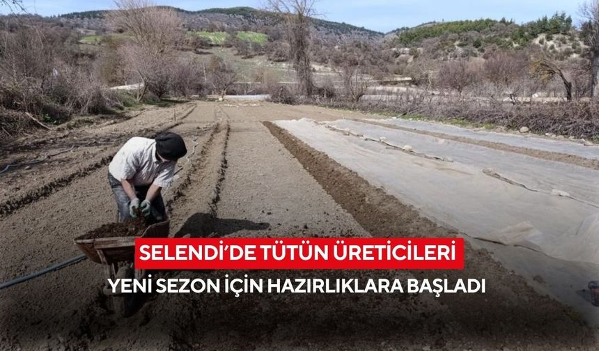 Selendi’de tütün üreticileri yeni sezon için hazırlıklara başladı