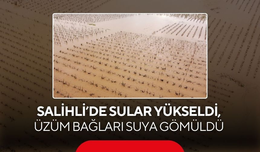 Salihli’de sular yükseldi, üzüm bağları suya gömüldü