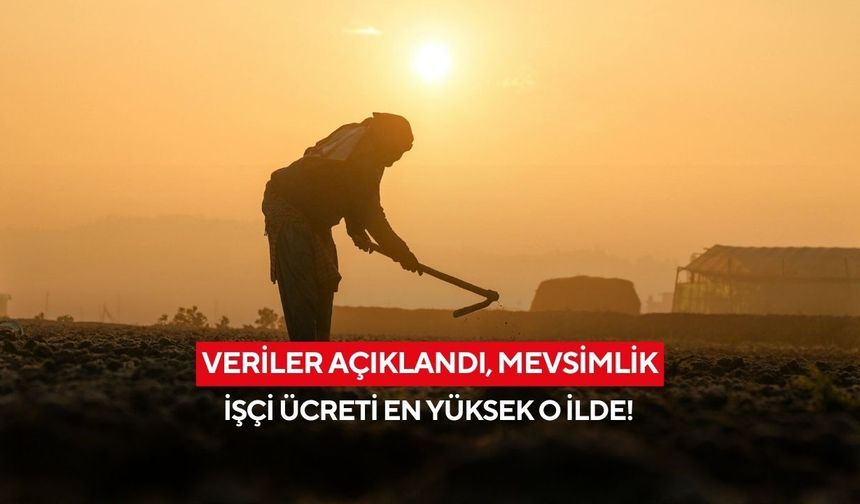 Veriler açıklandı, mevsimlik işçi ücreti en yüksek o ilde!