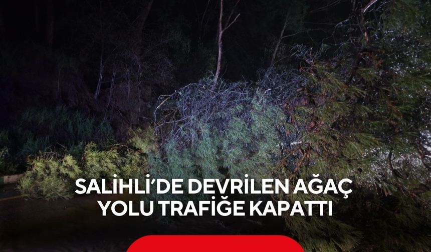 Salihli’de devrilen ağaç yolu trafiğe kapattı