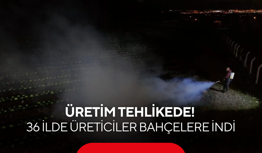 2025'te yaşanmıştı, üretim tehlikede! 36 ilde üreticiler bahçelere indi