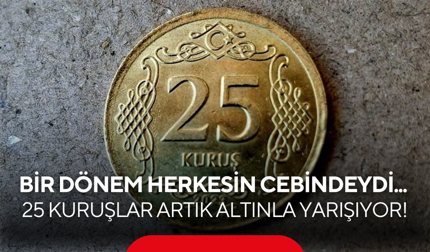 25 kuruşluk paraya 90 bin TL istediler: İlan sitelerinde "altın görünümlü" çılgınlığı