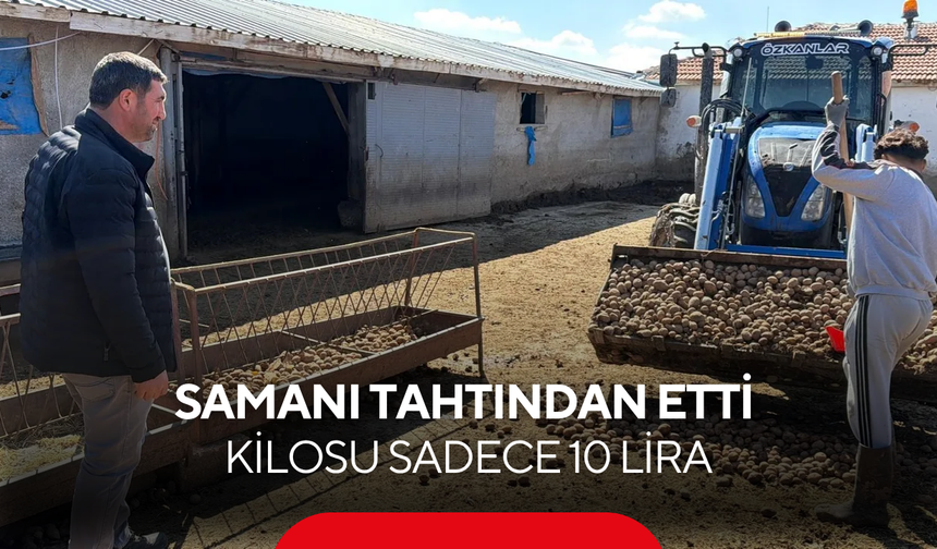 Besicinin yeni gözdesi: Samanı tahtından etti, kilosu sadece 10 lira