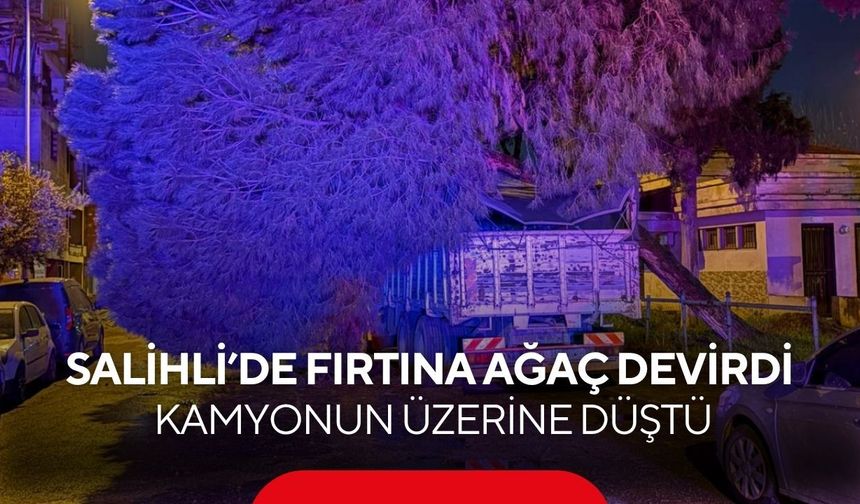 Salihli’de fırtına ağaç devirdi: Kamyonun üzerine düştü