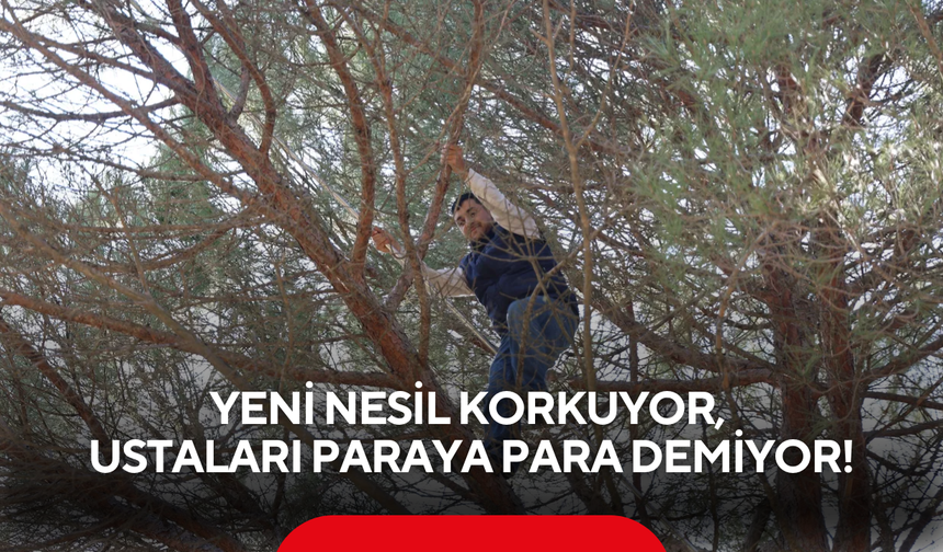 Günlük kazancı 3 bin 500 lira! Yeni nesil korkuyor, ustaları paraya para demiyor