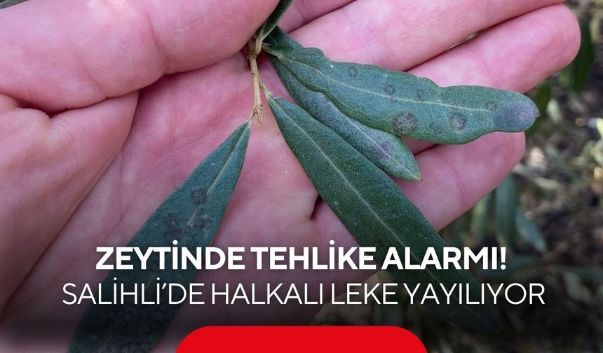 Salihli’de ‘Halkalı leke’ uyarısı