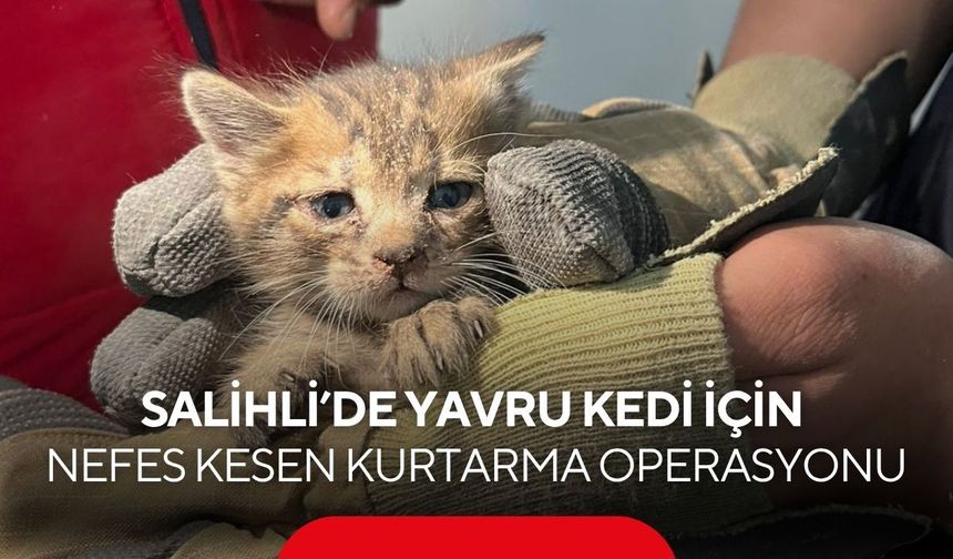 Salihli’de yavru kedi için nefes kesen kurtarma operasyonu