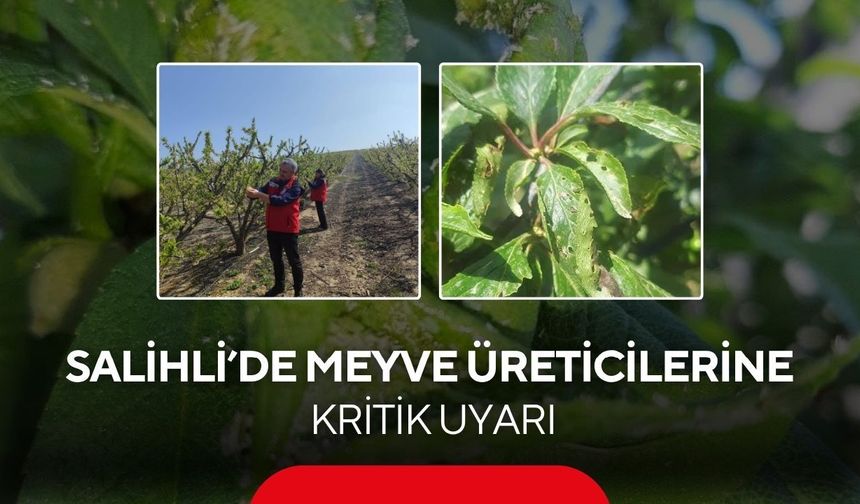 Salihli’de meyve üreticilerine kritik uyarı: Çil ve filiz güvesine dikkat