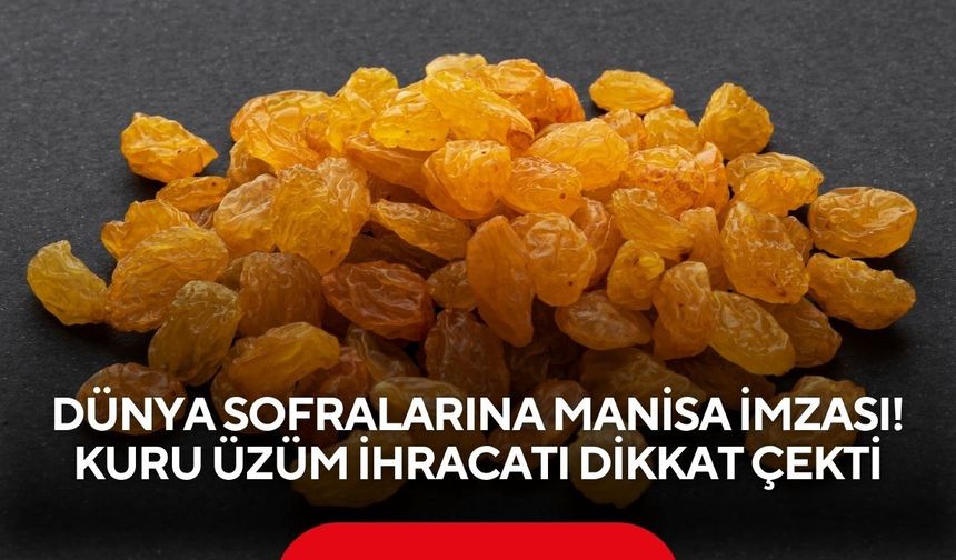 Dünya sofralarına Manisa imzası! Kuru üzüm ihracatı dikkat çekti