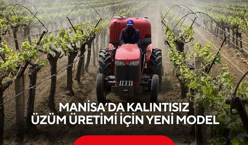 Manisa’da kalıntısız üzüm üretimi için yeni model