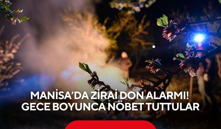 Manisa’da zirai don alarmı! Üreticiler gece boyunca nöbet tuttu