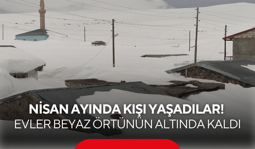 Nisan ayında kışı yaşadılar! Evler tamamen beyaz örtünün altında kaldı