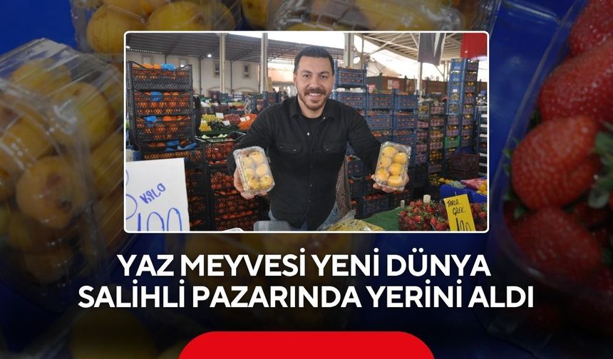 Yaz meyvesi yeni dünya Salihli pazarında yerini aldı