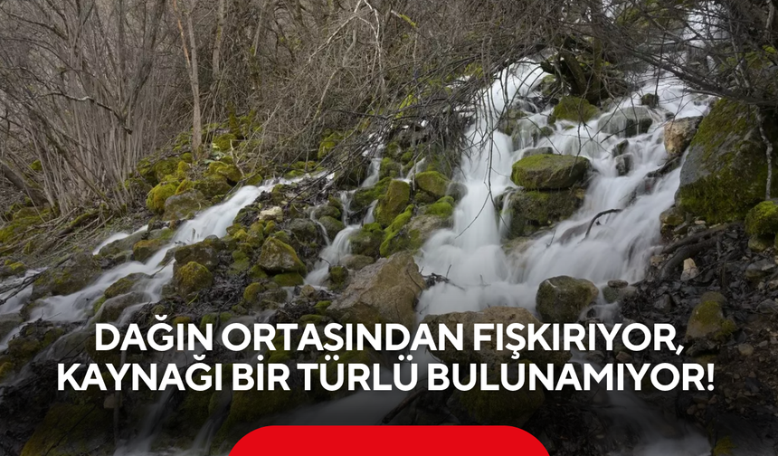 Yılda sadece 15 gün ortaya çıkıyor! Dağın göbeğinden fışkıran gizemin sırrı çözülemedi