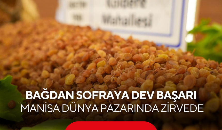 Bağdan sofraya dev başarı ! Manisa dünya pazarında zirvede