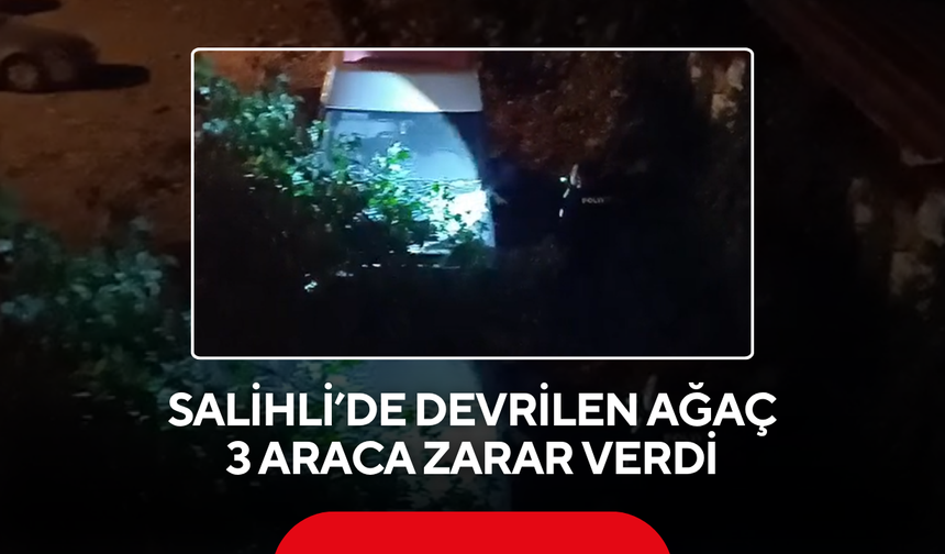 Salihli’de devrilen ağaç 3 araca zarar verdi