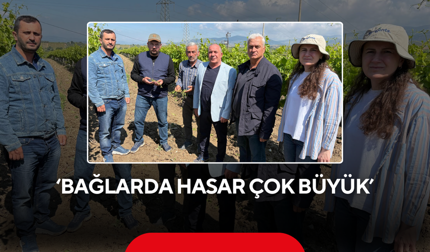 Yalvaç 'Bağlarda hasar çok büyük'
