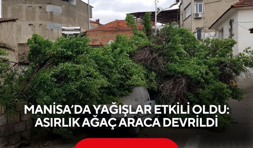 Manisa’da yağışlar etkili oldu: Asırlık ağaç araca devrildi