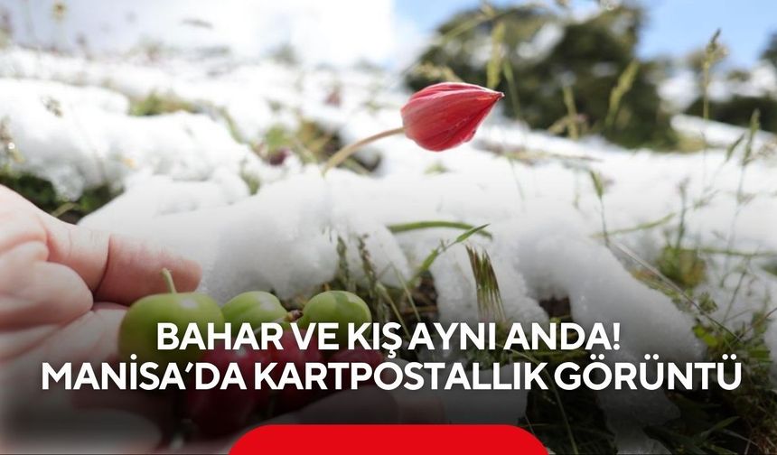 Bahar ve kış aynı anda: Manisa’da kartpostallık görüntü