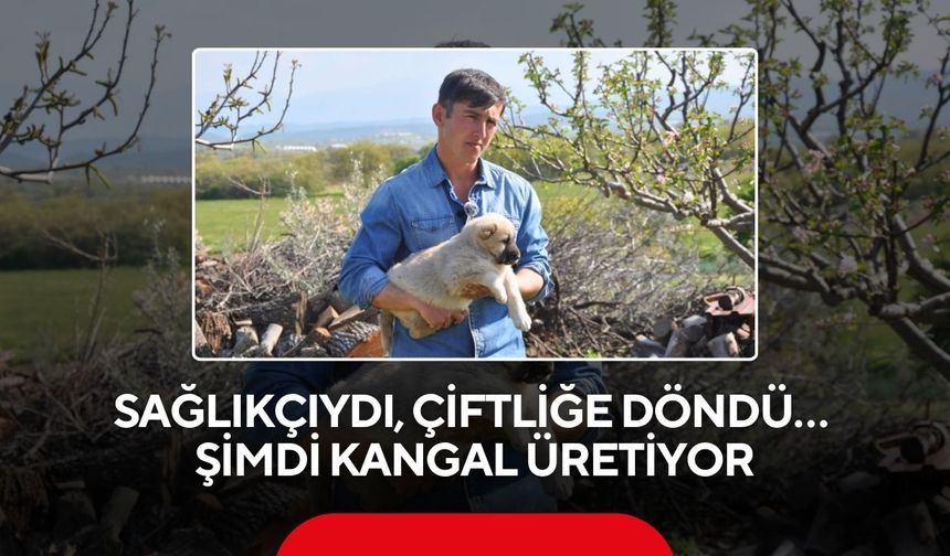 Genç Fizyoterapist tarıma döndü, Manisa’da kangal üretimi başlattı