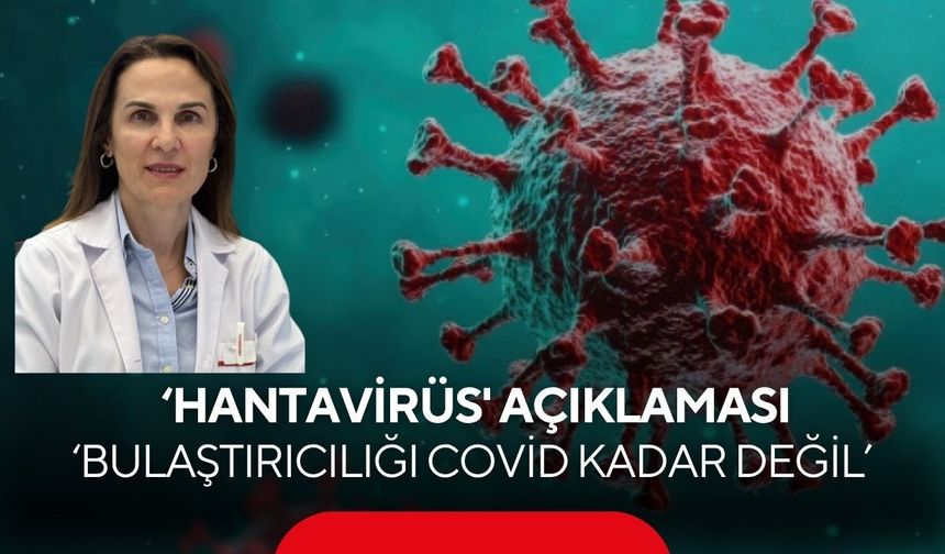Uzmanlardan ‘hantavirüs' açıklaması: "Bulaştırıcılığı Covid kadar değil"