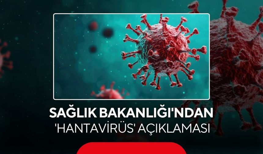 Son dakika... Sağlık Bakanlığı'ndan 'hantavirüs' açıklaması