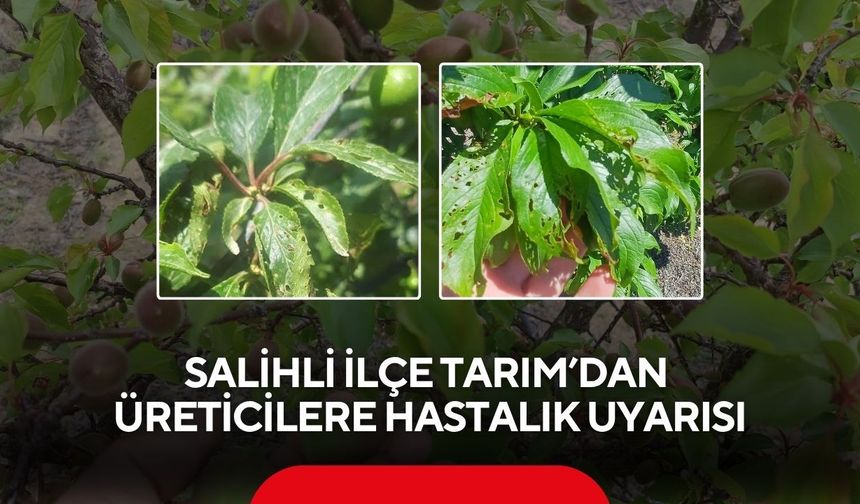 Salihli İlçe Tarım’dan üreticilere hastalık uyarısı