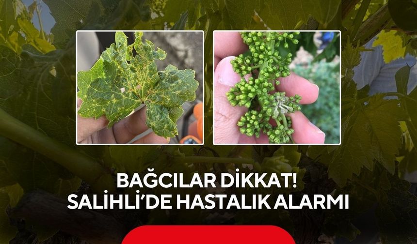 Bağcılar dikkat! Salihli’de hastalık alarmı