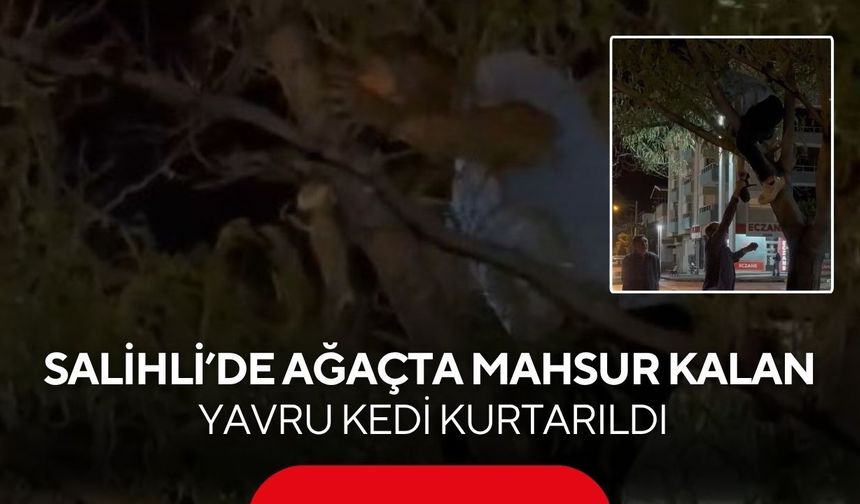 Salihli’de yürek ısıtan kurtarma: Mahsur kalan yavru kedi kurtarıldı