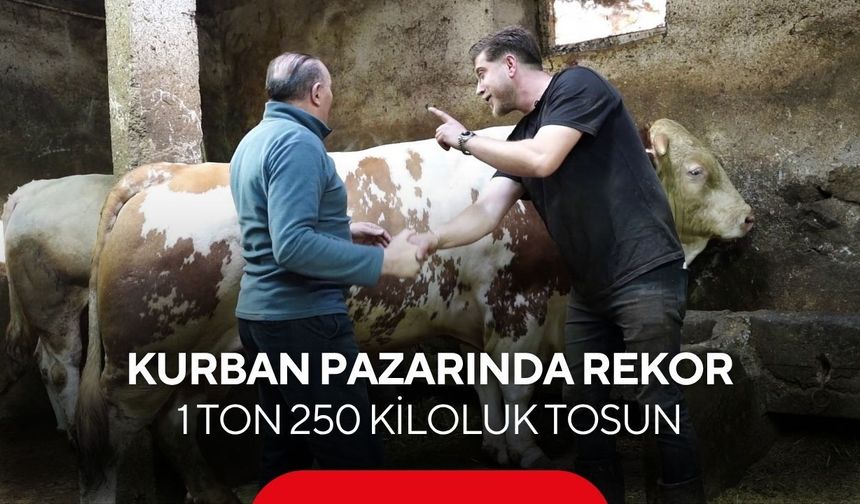 Kurban pazarına damga vuran satış! Dev kurbanlık dudak uçuklatan fiyata gitti