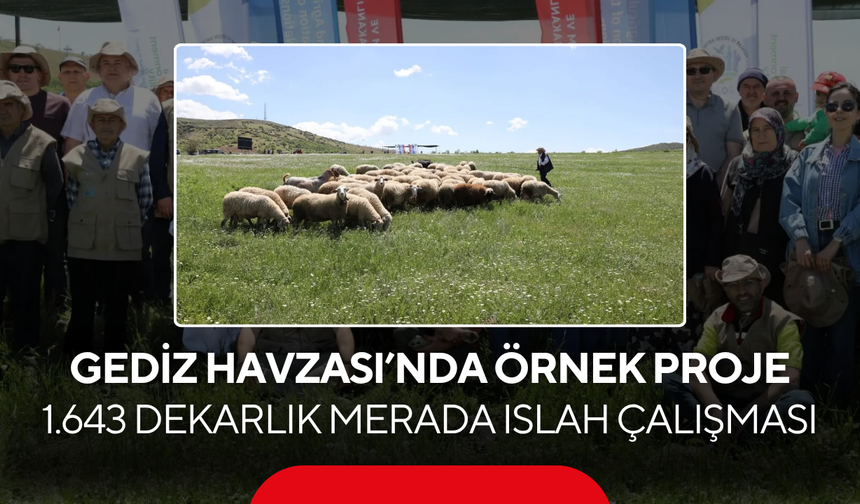 Gediz Havzası’nda örnek proje... 1.643 dekarlık merada ıslah çalışması