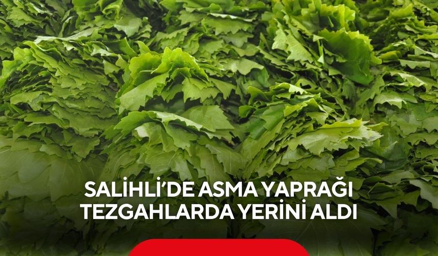 Salihli’de asma yaprağı tezgahlarda yerini aldı