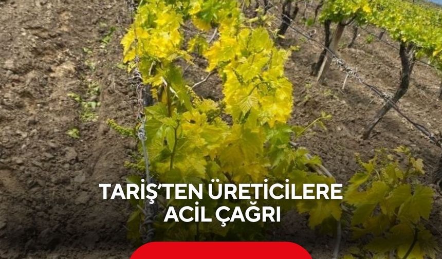 TARİŞ’ten üreticilere acil çağrı