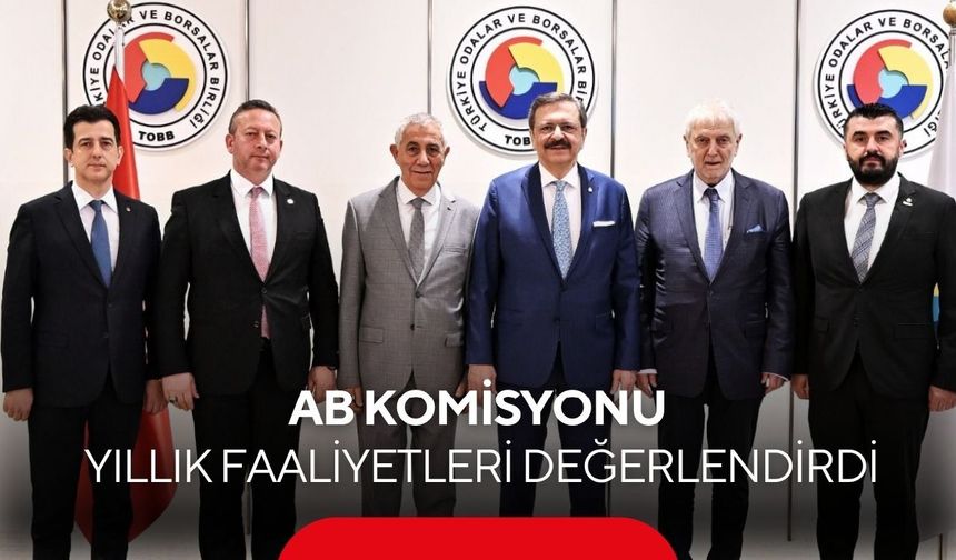 AB Komisyonu yıllık faaliyetleri değerlendirdi