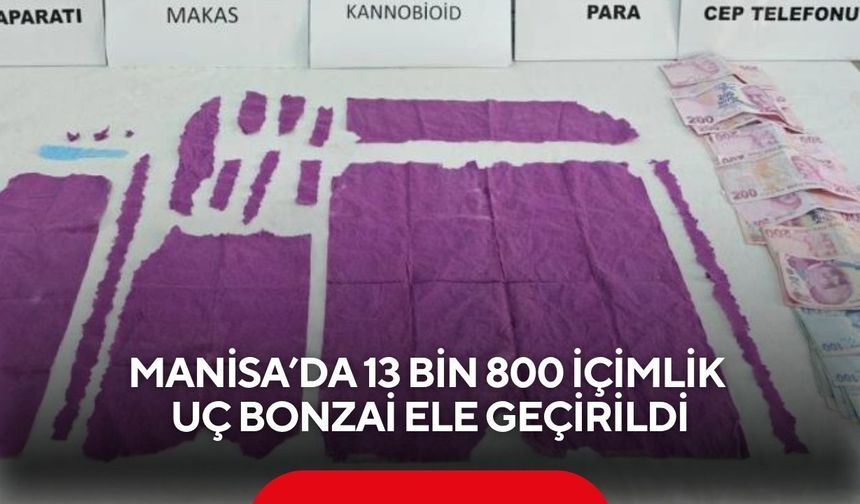Manisa'da 13 bin 800 içimlik uç bonzai ele geçirildi
