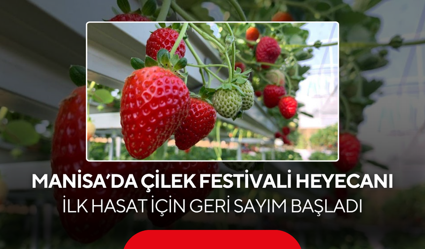İlk hasat için geri sayım başladı