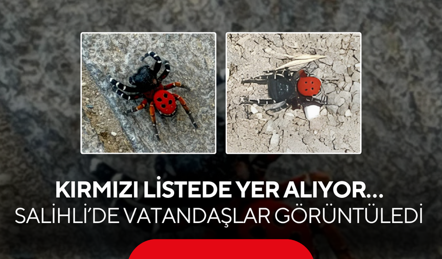 Kırmızı listede yer alıyor… Salihli’de vatandaşlar görüntüledi