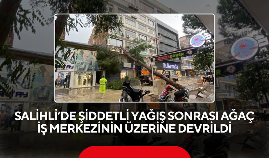 Salihli’de şiddetli yağış sonrası ağaç iş merkezinin üzerine devrildi